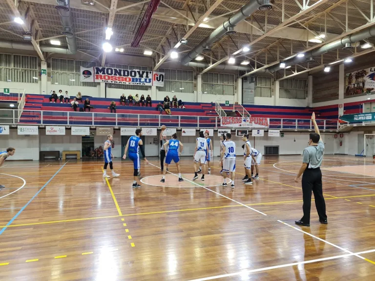 SERIE C BASKET – Nulla possono i galli contro lo strapotere fisico di Bra